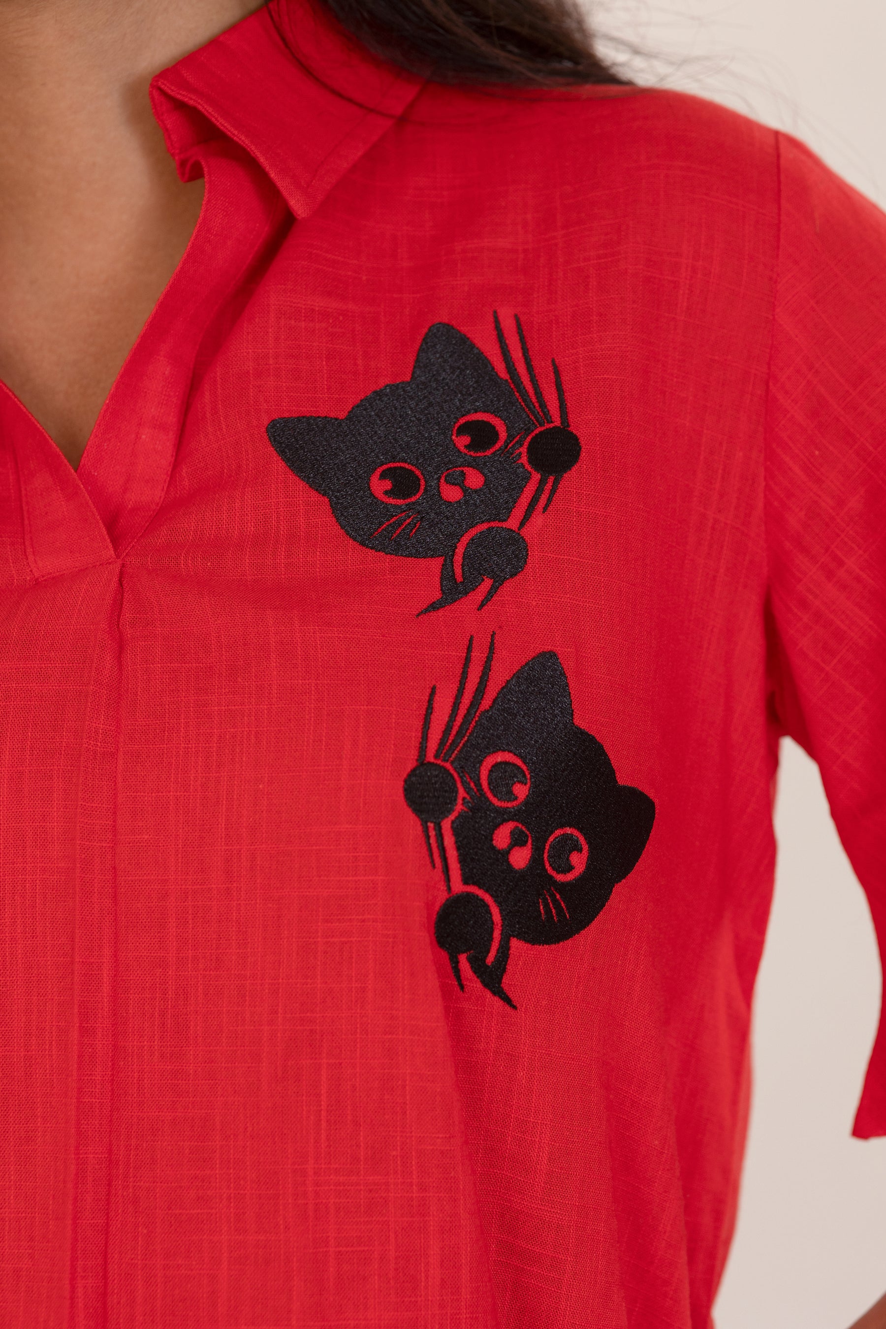 Red cat