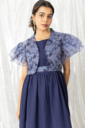 Blue Organza Dress