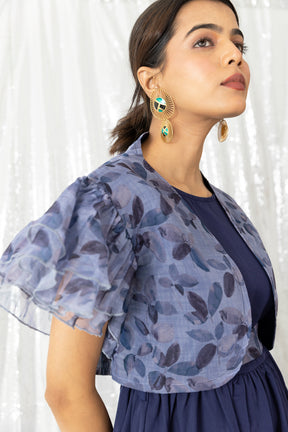 Blue Organza Dress